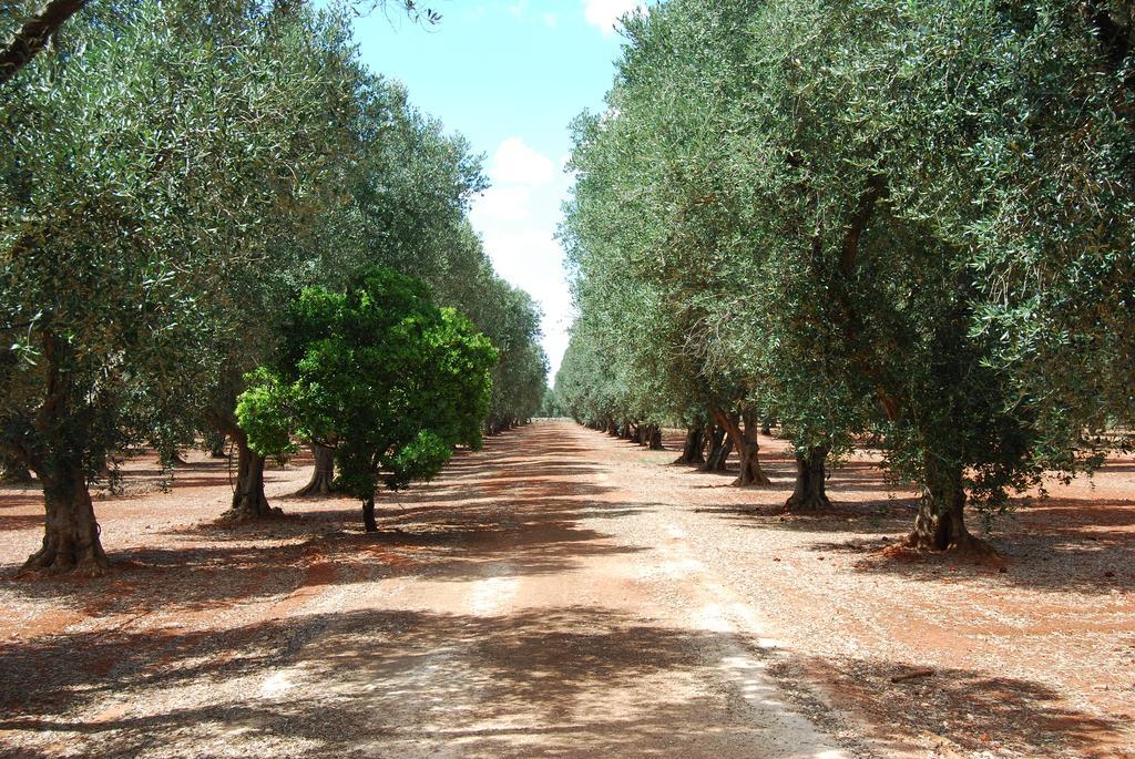Terra Di Leuca Villa Salve Ngoại thất bức ảnh