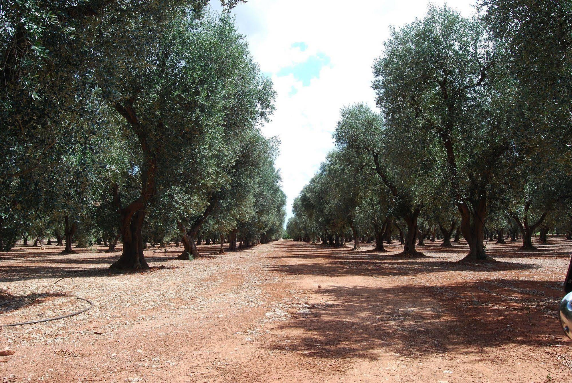 Terra Di Leuca Villa Salve Ngoại thất bức ảnh