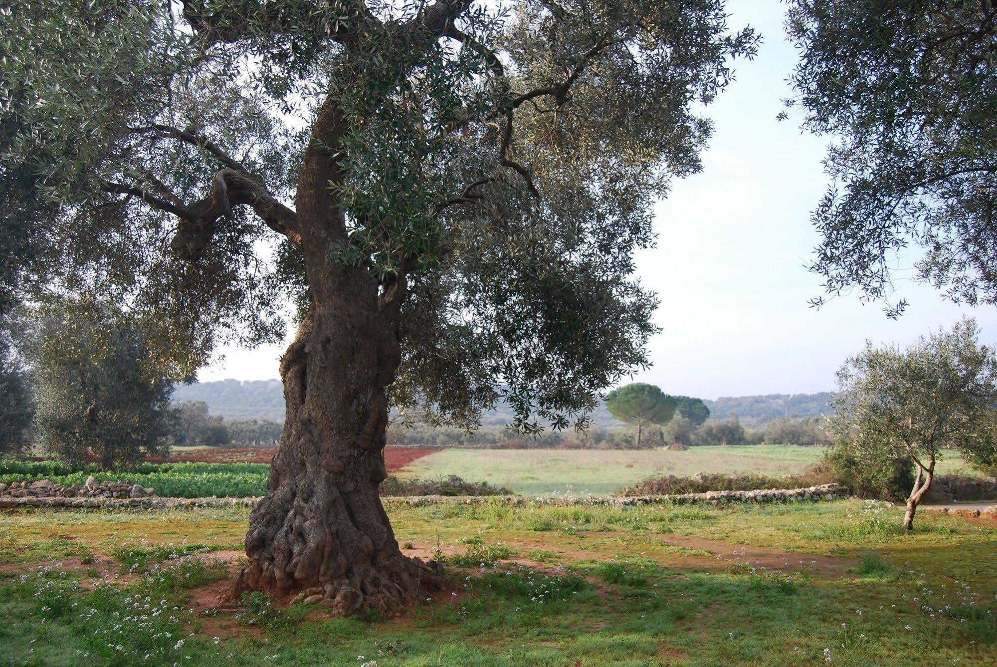 Terra Di Leuca Villa Salve Ngoại thất bức ảnh